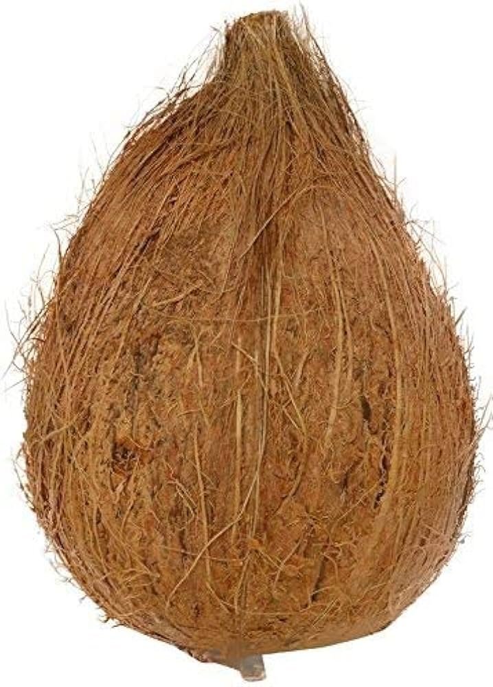Doodiya gola