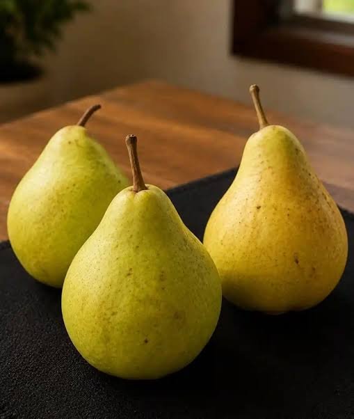 Nashpati