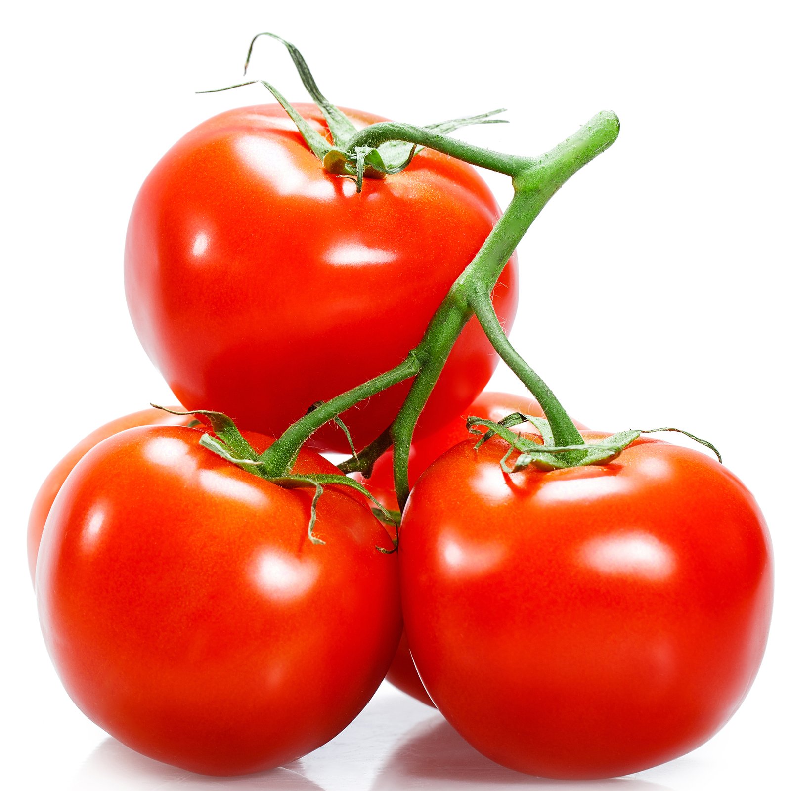 Tamatar (Tomato)