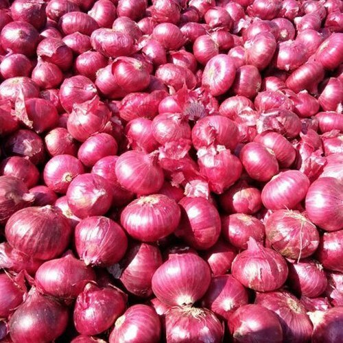 Pyaj (Onion)