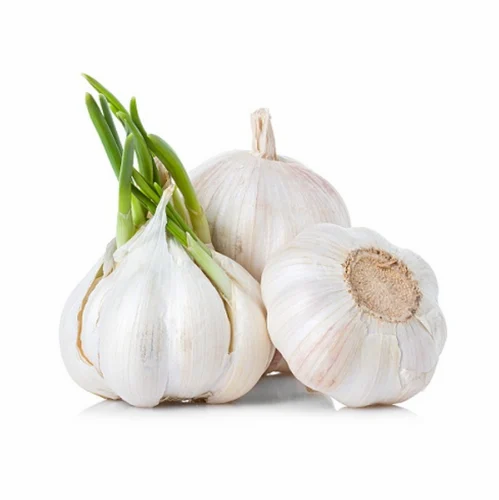 Lahsun (Garlic)