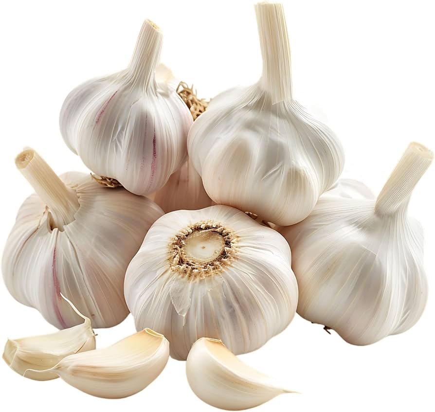 Lahsun (Garlic)