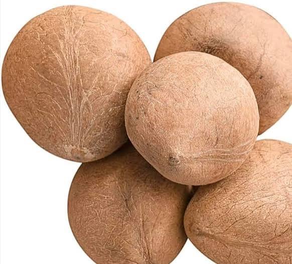 Coconut