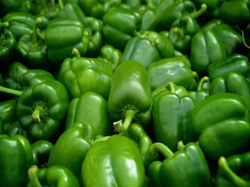 Shimla (Capsicum)