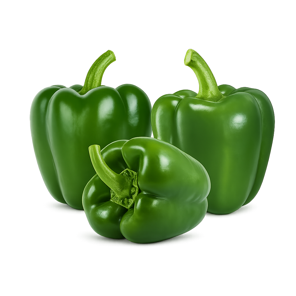 Shimla (Capsicum)