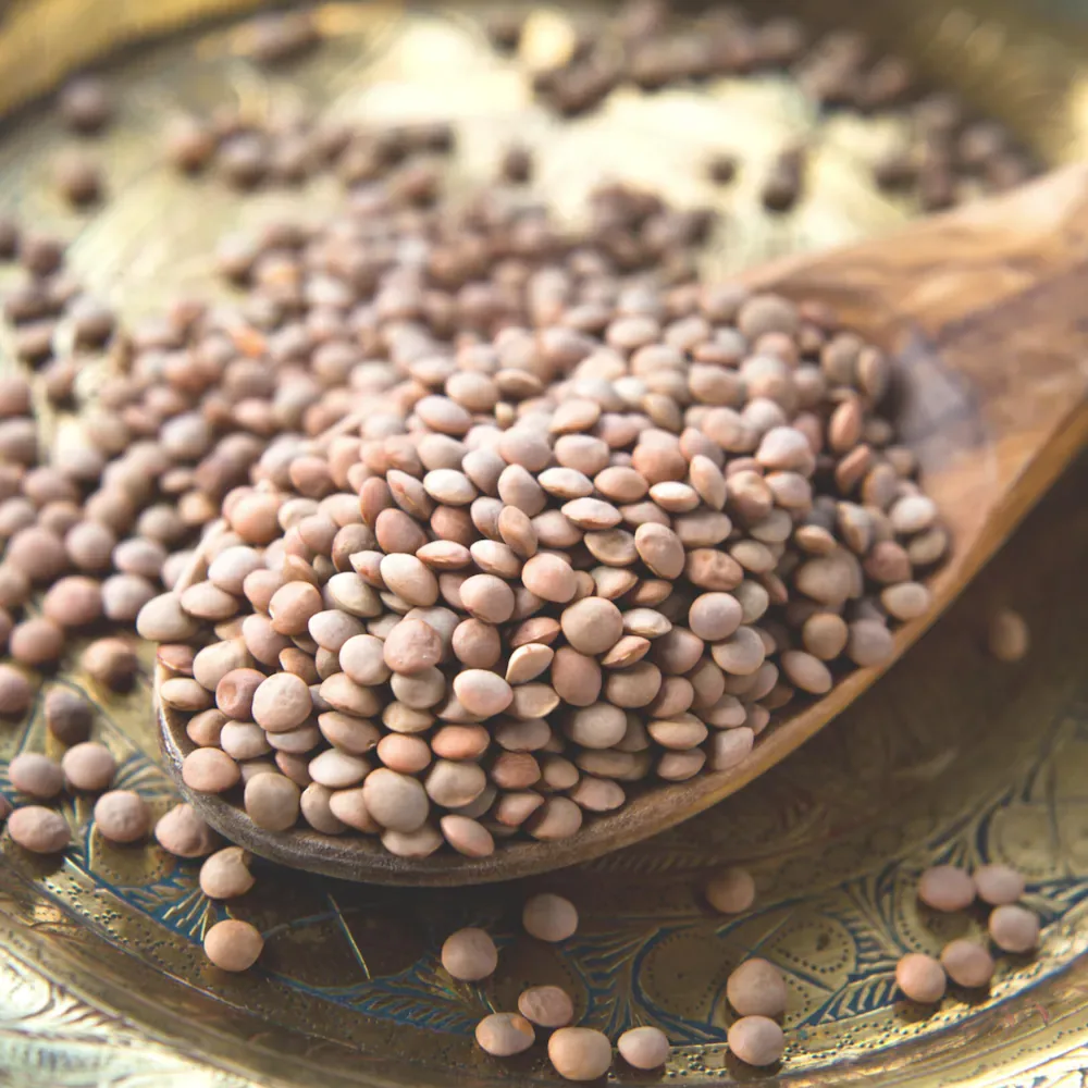 Malka Daal