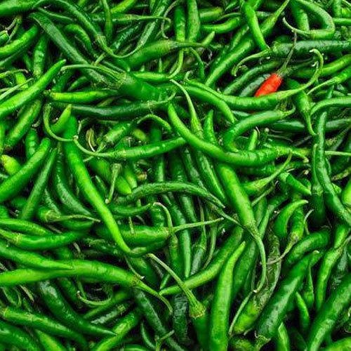 Hari Mirch (Green Chilli)