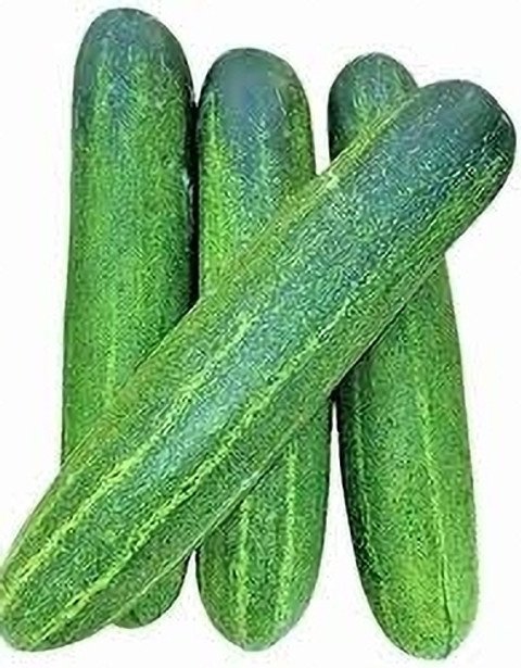 Khira (Cucumber)