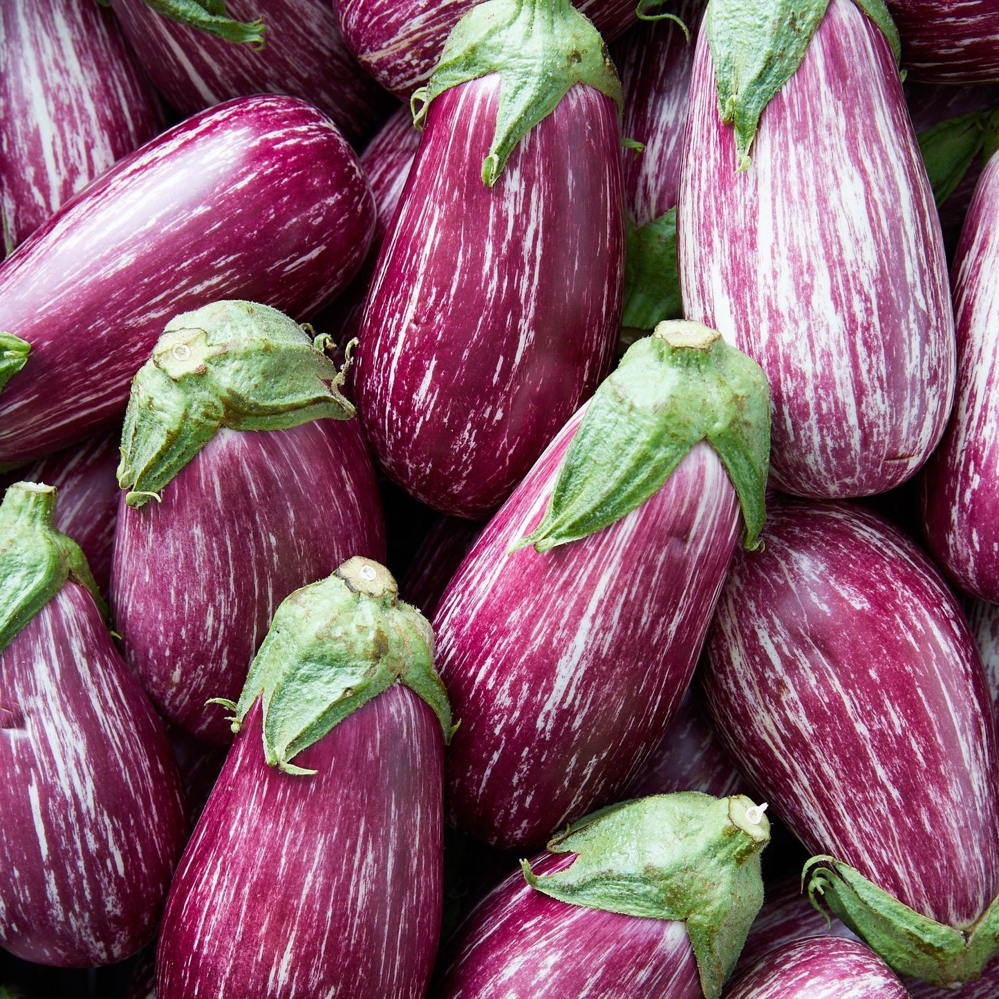 Baigan (Brinjal/Eggplant)