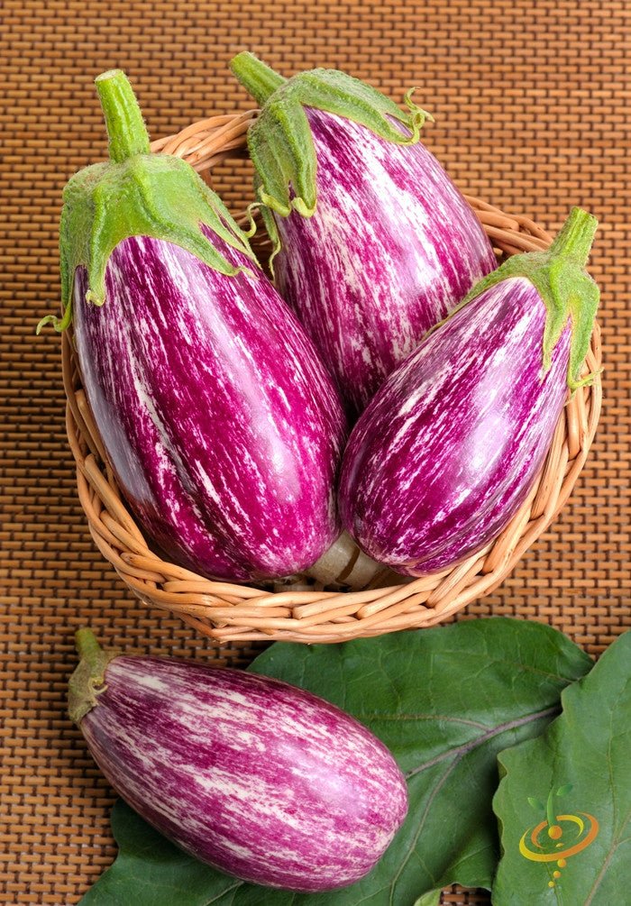 Baigan (Brinjal/Eggplant)