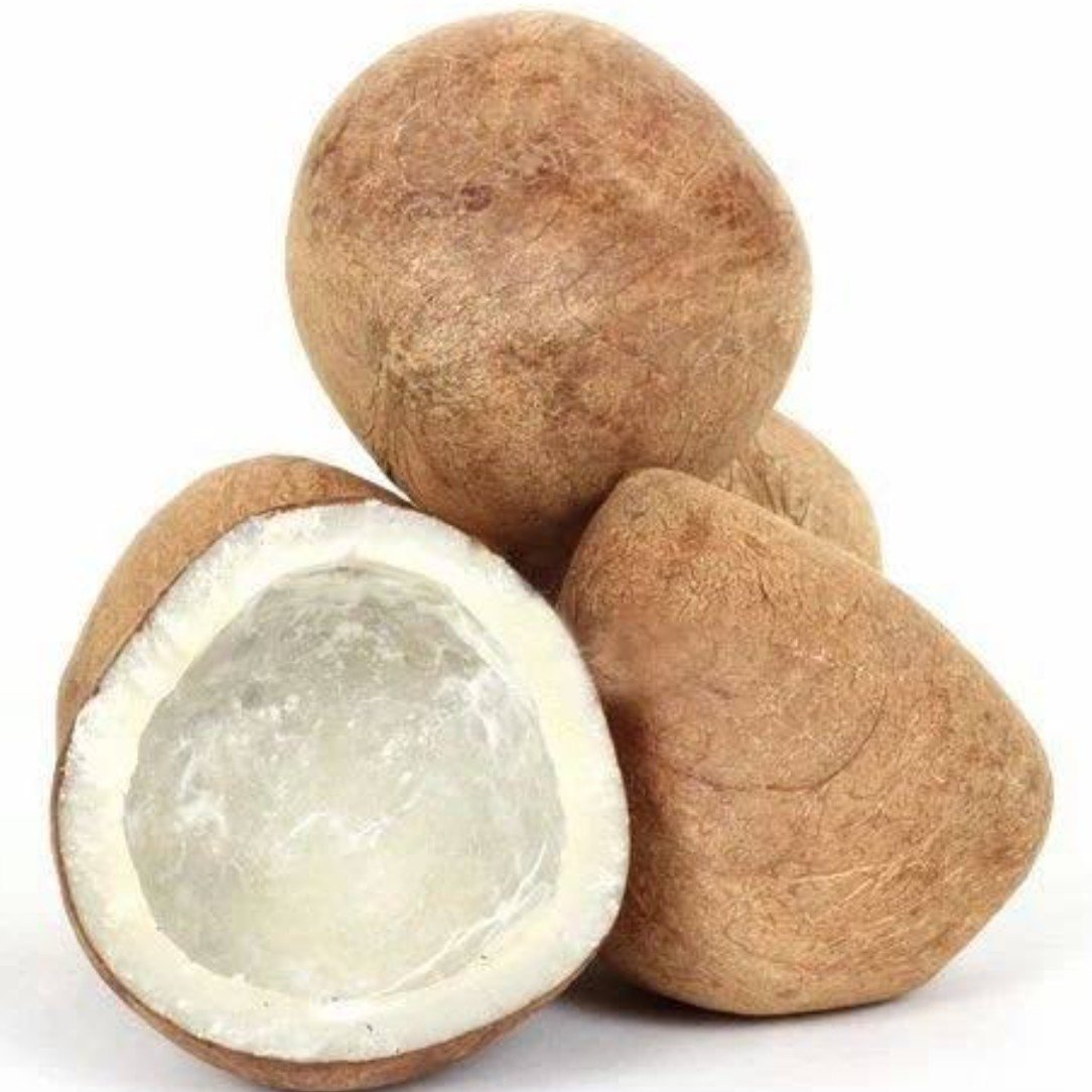 Coconut