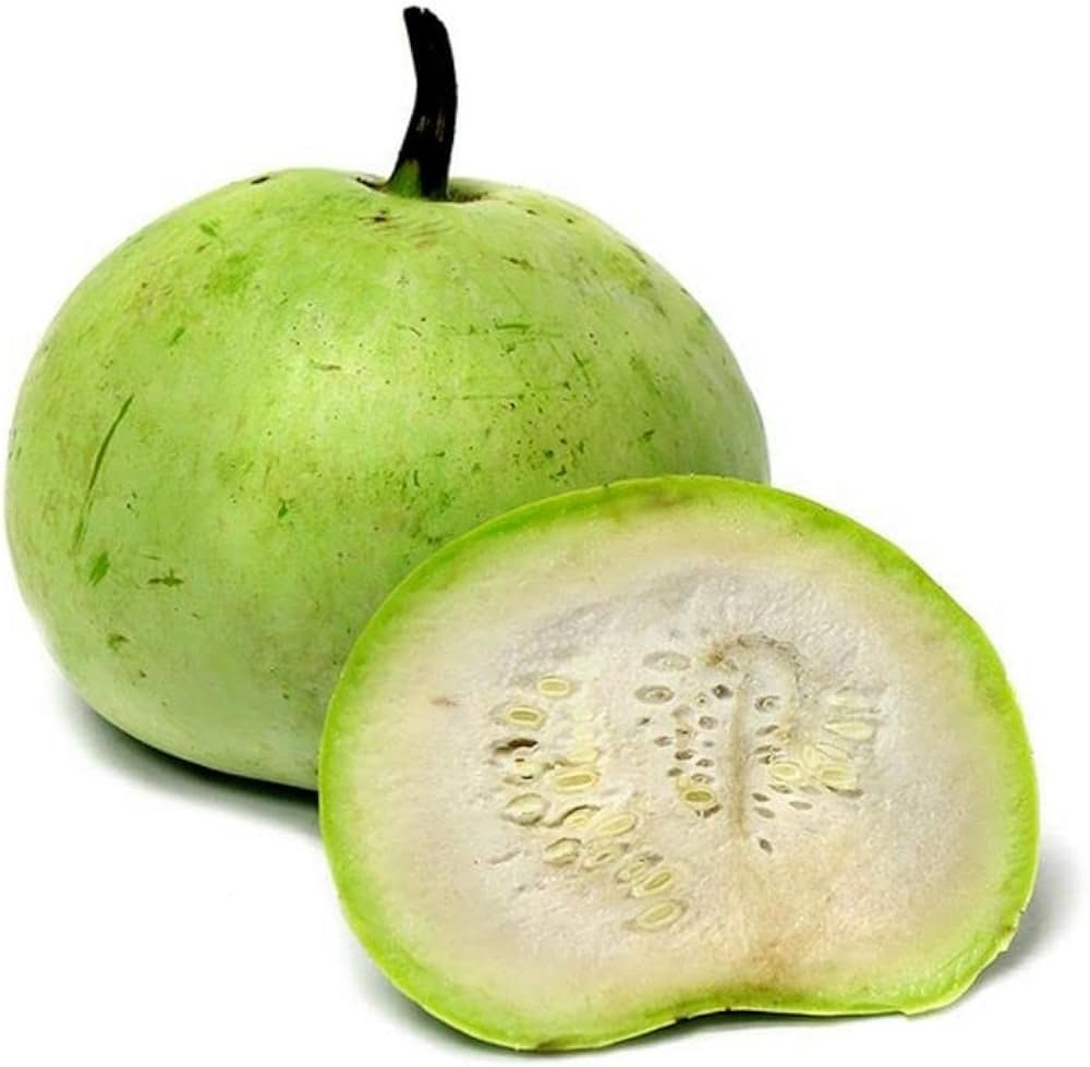 Tinda (Apple Gourd)