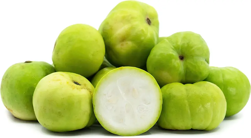 Tinda (Apple Gourd)