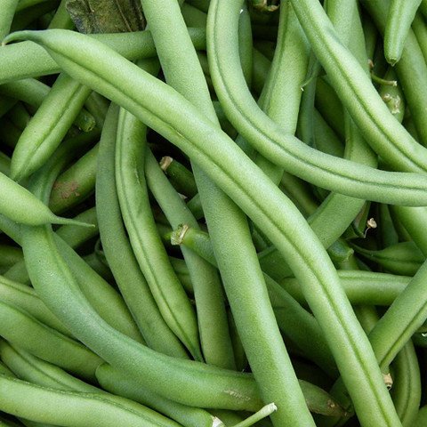 Beans Fali (French Beans)