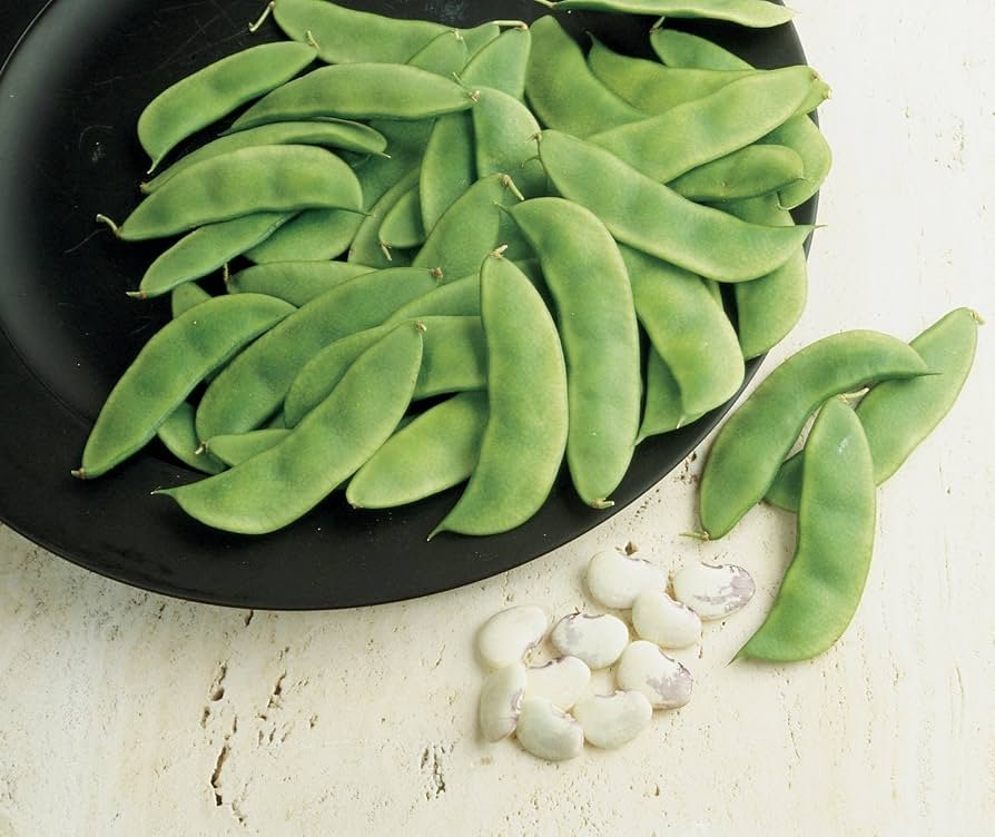 Beans Fali (French Beans)