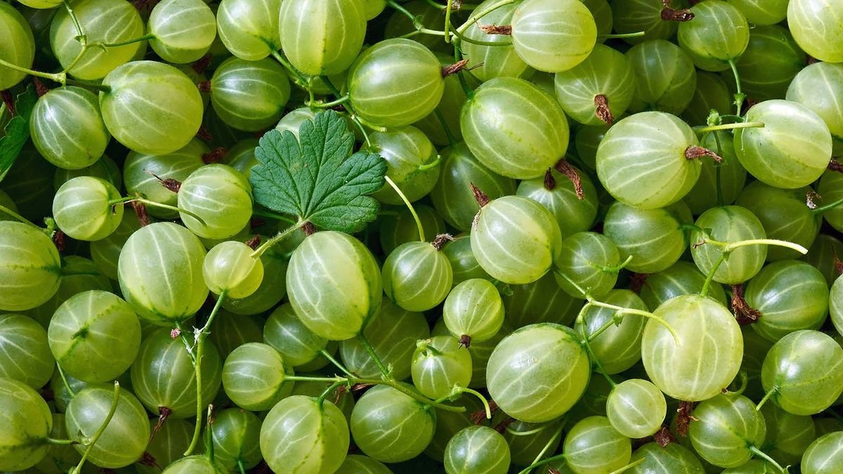 Amla (Gooseberry)