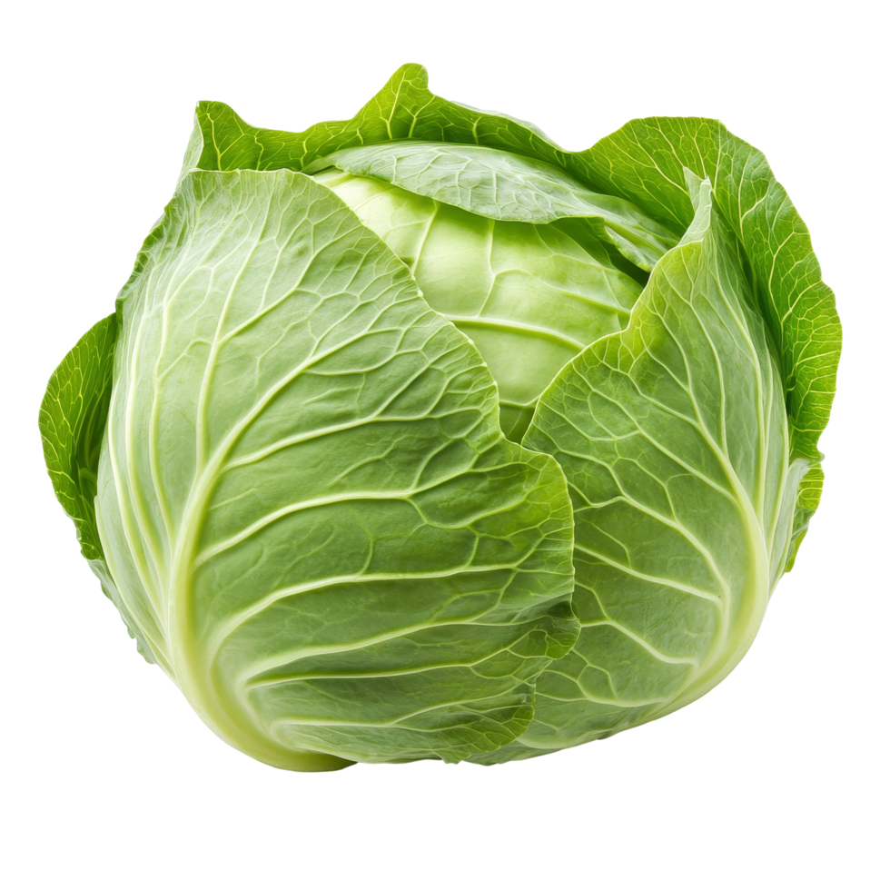 Patta Gobhi (Cabbage)