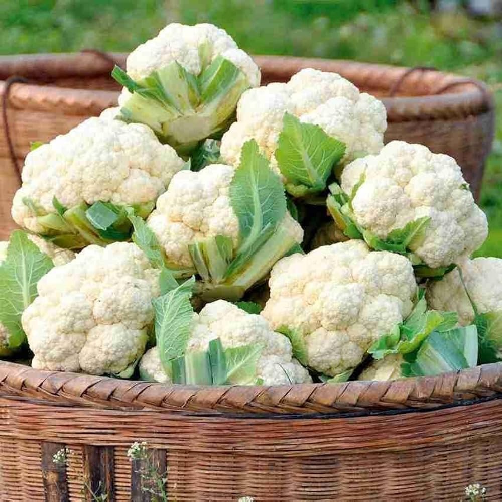 Phool Gobhi (Cauliflower)