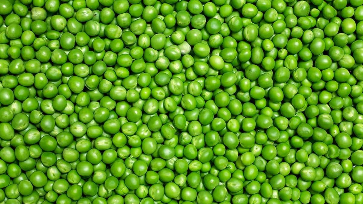 Matar Dana (Green Peas)