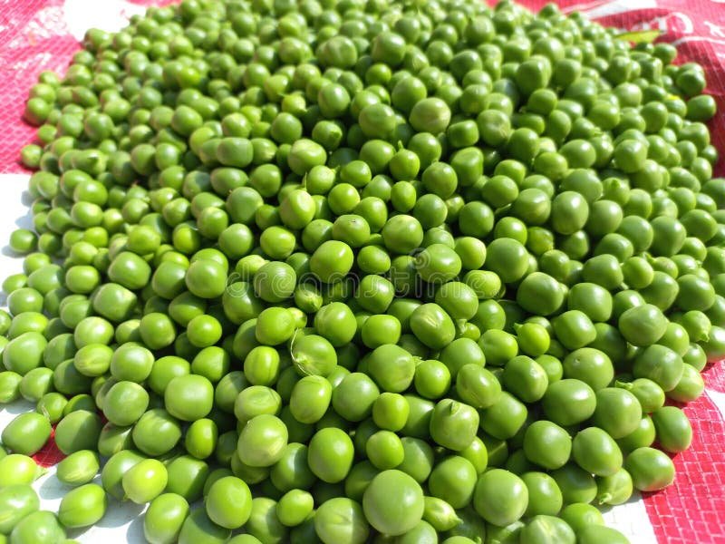 Matar Dana (Green Peas)