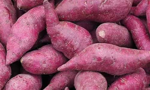 Ratalu (Purple Yam)