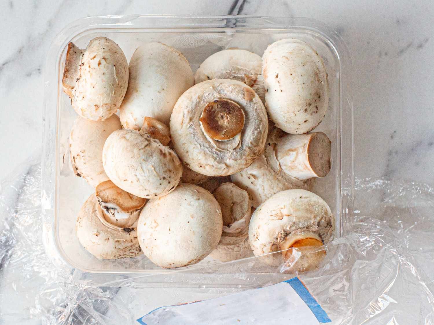 Mushroom (Mushroom)