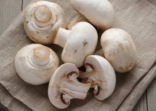 Mushroom (Mushroom)