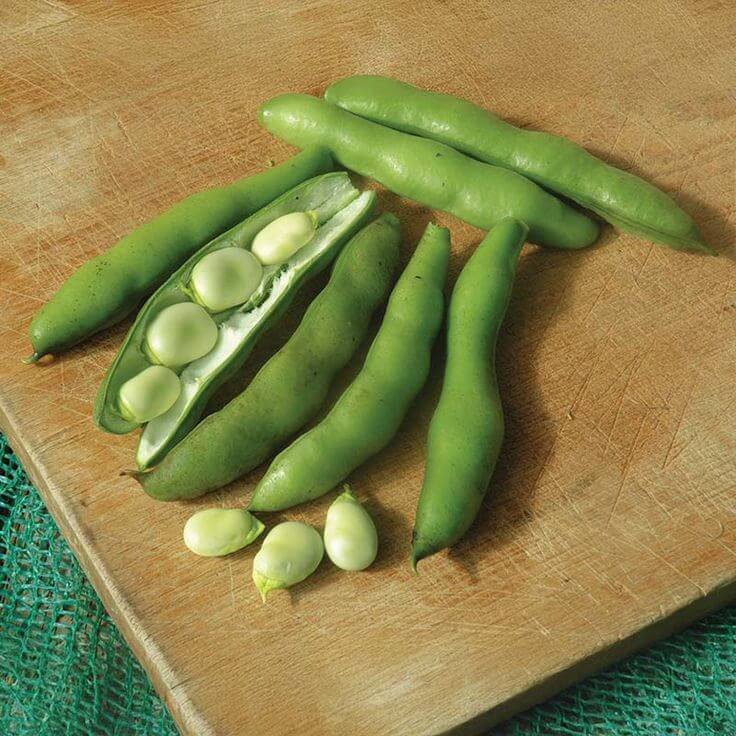 Soybean Chap (Soya Chaap)