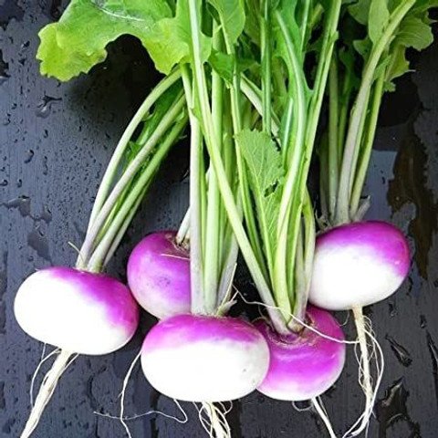 Salgam Palak (Turnip Spinach)