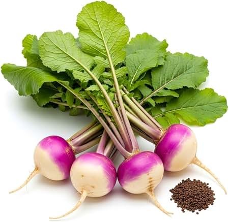 Saljam Palak (Turnip Spinach)